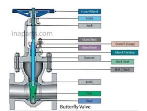 Butterfly Valve