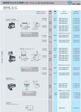 H6B with 1 lever on the hoods or housing