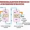 Anion Removal Demin Process