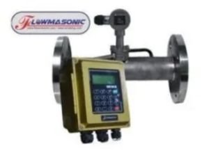 Flowmasonic WUF100 Ultrasonic flow meter