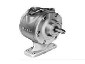 Gast 4AM Air Motor