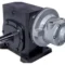 Air Gear Motor Gast 4AM-CB20