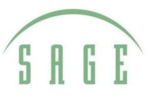 Sage thermal mass Gas Flow Sensor