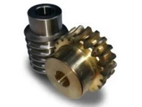 Worm Gear