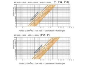 Flow Rate Diagram Pietro Fiorentini Cartridge Filter