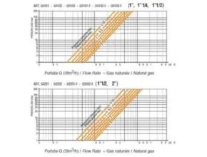 Flow Rate Diagram Pietro Fiorentini Cartridge Filter