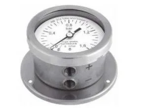 Differential Pressure Gauge DB Series Delta Mobrey
