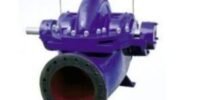Paragon PS Series Split Case Centrifugal Pump