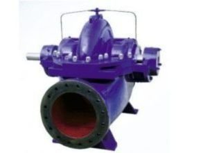 Paragon PS Series Split Case Centrifugal Pump