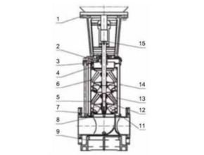Paragon PV 120, 150 Vertical Multistage pump