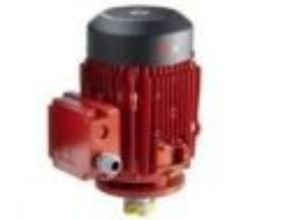 Flux Three-Phase Motor DSM