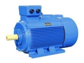 Our High Efficiency Low Noise Electric Motor (PEM Series)