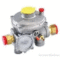 Eska ERG-EH Series Gas Pressure Regulator with Shut-Off