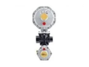 Eska ERG-H5 Series Gas Pressure Regulator