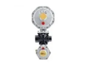 Eska ERG-H5 Series Gas Pressure Regulator