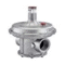 Eska ERG Series Gas Pressure Regulator