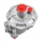 Eska Single Stage Gas Pressure Regulators