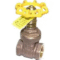 Apollo 101T-30 Gate Valve