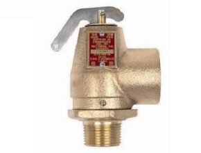 Apollo Valves 10-100 or 300 Series Safety Relief Valves