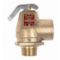 Apollo Valves 10-100 or 300 Series Safety Relief Valves