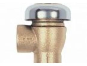 Apollo Valves 38 -100 Series Atmospheric Vacuum Breaker