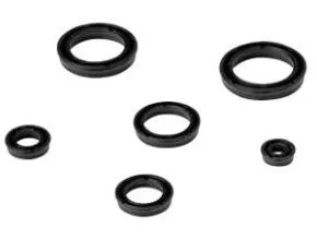 Sakagami Pneumatic Seals MYP-Packings