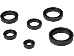 Sakagami Pneumatic Seals PRY-Packing