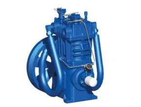 Quincy Compressor QRNG Natural Gas