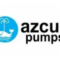 Azcue Pumps