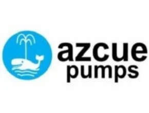 Azcue Pumps