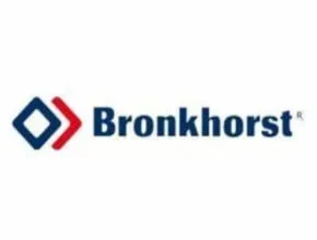 Bronkhorst Gas Flow Meter