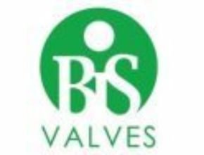 BiS Valves