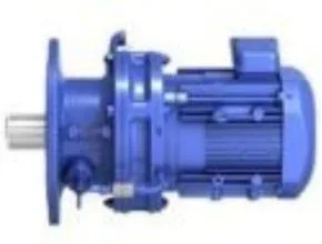 Cyclo 6000 Gearmotor Detail