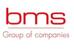 The BMS Group