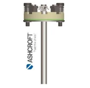 Ashcroft S01 RTD Thermocouple