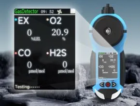 Zadetector GSS-GP300 Built-in Pumping 4 in 1 Gas Detector