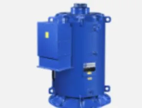 Hydropower MarelliMotori B_J / B_JH