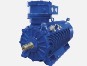 MarelliMotori Oil & Gas D5H - D5L