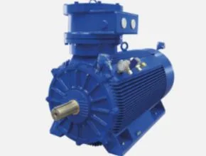 MarelliMotori Oil & Gas D5H - D5L