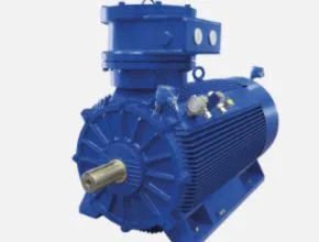 Marelli Motori D_C - D_X - D_K - D_Y Series for Oil & Gas
