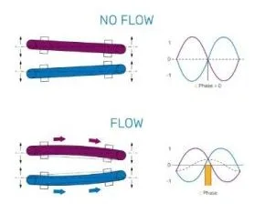 Rheonik Measurement Principle