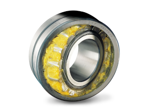 About SKF And SKF Product