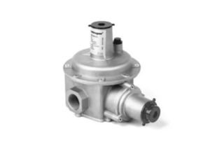 Delta-Elektrogas RFS Gas Regulators