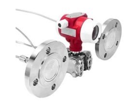 Flowma SMP858-DST Remote Diaphragm Pressure Transmitter