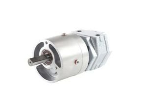 Gast 1UP-NRV-4-GR11 Gear Motor