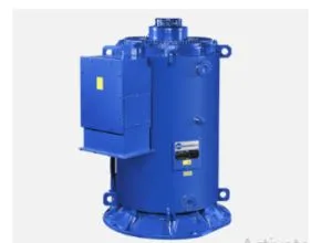 MarelliMotori Series Motors Industrial B_J / B_JH