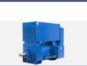 MarelliMotori Series Motors Industrial B_W - B_WH