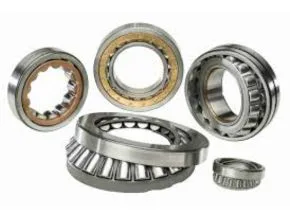 SKF Product Types Rolling Bearings