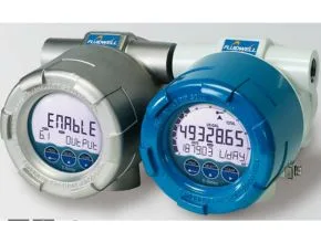 Fluidwell E115 Explosion Proof Flow Rate Totalizer