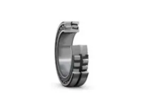 SKF Product Overview